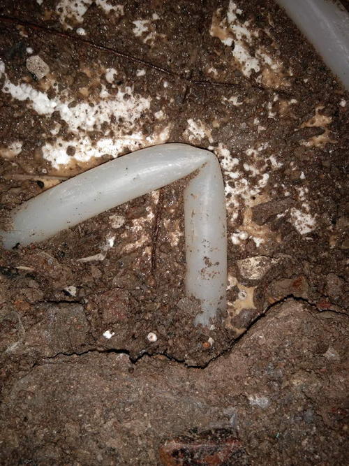 伽师堵点精准查找